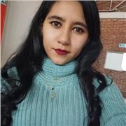 Clases didacticas de Inglés, Español o Matemáticas en primaria